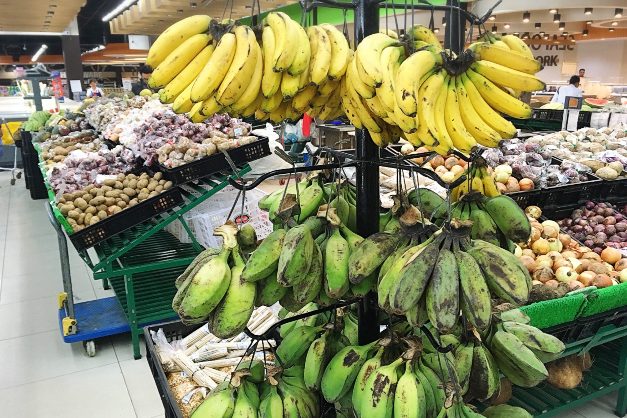 Cebu Parent-and-child studying abroad Takahari English Academy! Banana banana 